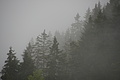Bernhard Saalfeld - DSC10018.JPG