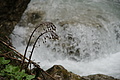 Bernhard Saalfeld - DSC10040.JPG
