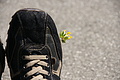 Bernhard Saalfeld - DSC10093.JPG