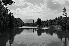 L1001460_t.JPG