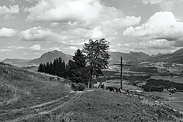 L1001536_t.JPG