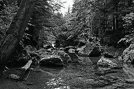 L1001590_t.JPG