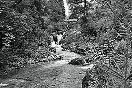 L1001686_t.JPG