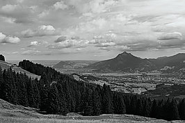 Bernhard Saalfeld - L1001708