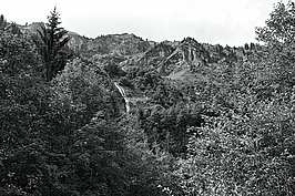 Bernhard Saalfeld - L1001728