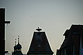 Bernhard Saalfeld - DSC07399.JPG