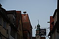 Bernhard Saalfeld - DSC07413.JPG