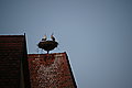Bernhard Saalfeld - DSC07414.JPG