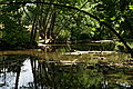 Bernhard Saalfeld - DSC07460.JPG
