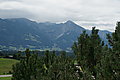Bernhard Saalfeld - DSC07463.JPG