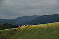 Bernhard Saalfeld - DSC07464.JPG