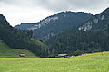 Bernhard Saalfeld - DSC07490.JPG