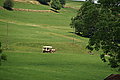 Bernhard Saalfeld - DSC07492.JPG