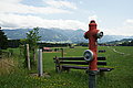 Bernhard Saalfeld - DSC07504.JPG
