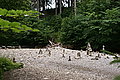 Bernhard Saalfeld - DSC07570.JPG