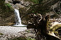 Bernhard Saalfeld - DSC07587.JPG