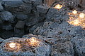 Bernhard Saalfeld - DSC07631.JPG