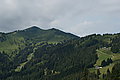 Bernhard Saalfeld - DSC07663.JPG