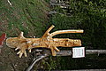 Bernhard Saalfeld - DSC07664.JPG