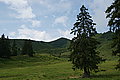 Bernhard Saalfeld - DSC07673.JPG