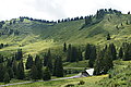 Bernhard Saalfeld - DSC07674.JPG