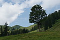 Bernhard Saalfeld - DSC07681.JPG