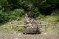 Bernhard Saalfeld - DSC07684.JPG