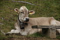 Bernhard Saalfeld - DSC07686.JPG