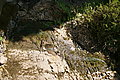 Bernhard Saalfeld - DSC07716.JPG