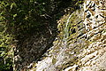 Bernhard Saalfeld - DSC07717.JPG
