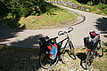 Bernhard Saalfeld - DSC07721.JPG