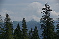 Bernhard Saalfeld - DSC07729.JPG
