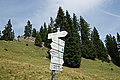 Bernhard Saalfeld - DSC07732.JPG