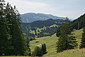 Bernhard Saalfeld - DSC07734.JPG