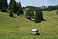 Bernhard Saalfeld - DSC07741.JPG