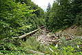 Bernhard Saalfeld - DSC07750.JPG
