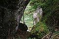 Bernhard Saalfeld - DSC07760.JPG