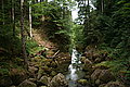 Bernhard Saalfeld - DSC07764.JPG