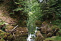 Bernhard Saalfeld - DSC07767.JPG