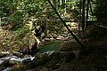 Bernhard Saalfeld - DSC07770.JPG