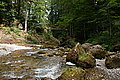 Bernhard Saalfeld - DSC07771.JPG