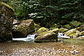 Bernhard Saalfeld - DSC07774.JPG