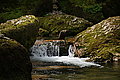Bernhard Saalfeld - DSC07776.JPG