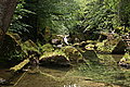 Bernhard Saalfeld - DSC07789.JPG
