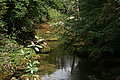 Bernhard Saalfeld - DSC07793.JPG