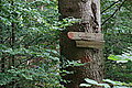 Bernhard Saalfeld - DSC07798.JPG