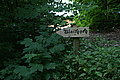 Bernhard Saalfeld - DSC07800.JPG
