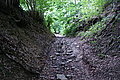 Bernhard Saalfeld - DSC07805.JPG