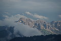 Bernhard Saalfeld - DSC07811.JPG