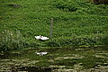 Bernhard Saalfeld - DSC07833.JPG